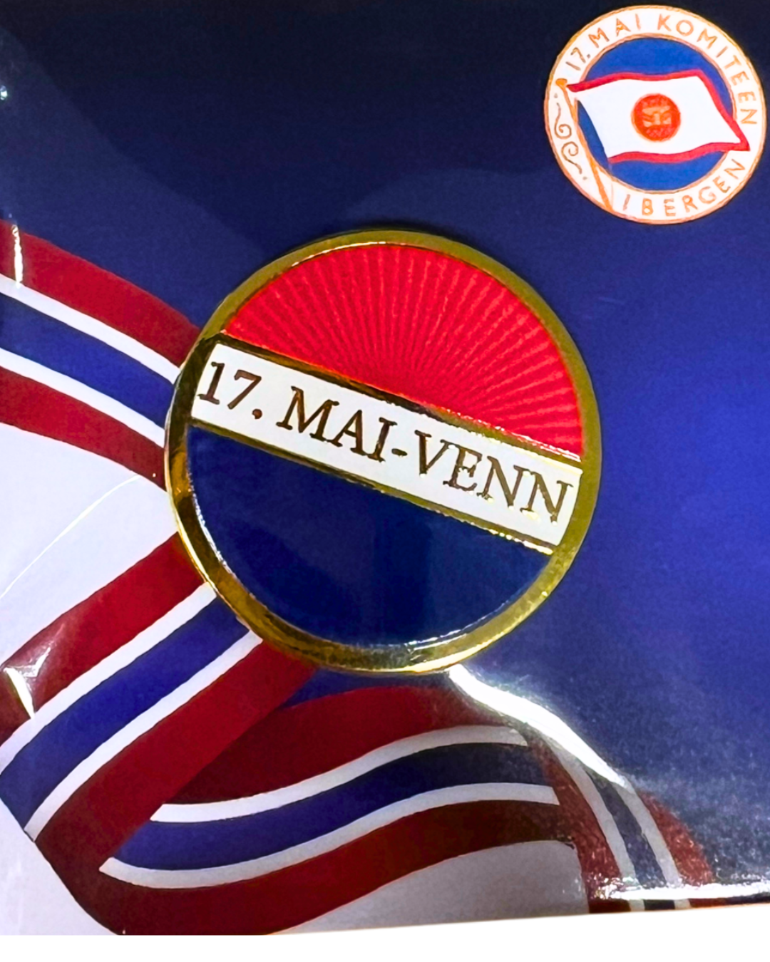 17. mai-venn pins